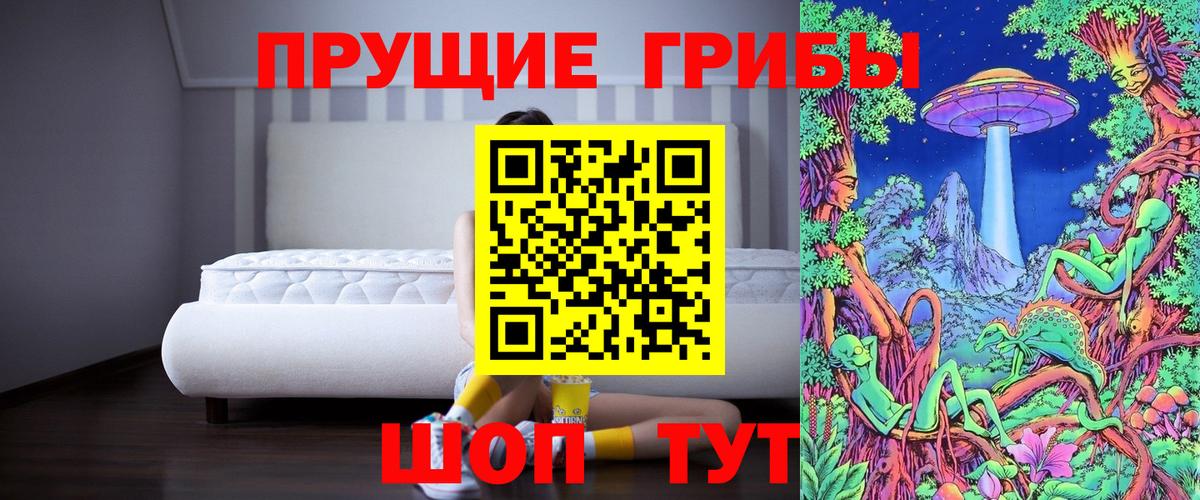 Заводоуковск  купить наркотики сайты  Вход с VPN  Псилоцибиновые грибы мицелий 